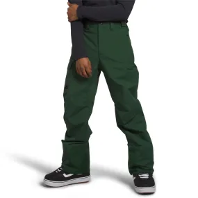 The North Face Freedom Pant 2024 - Men's Snow Pant